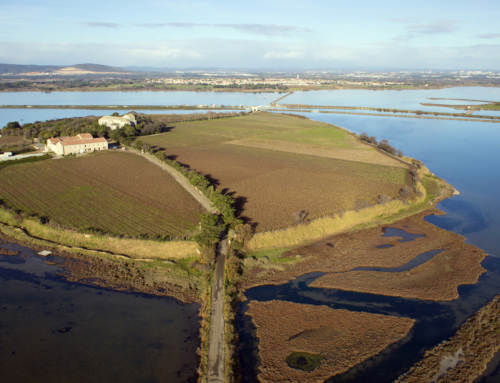 Photographie par drone